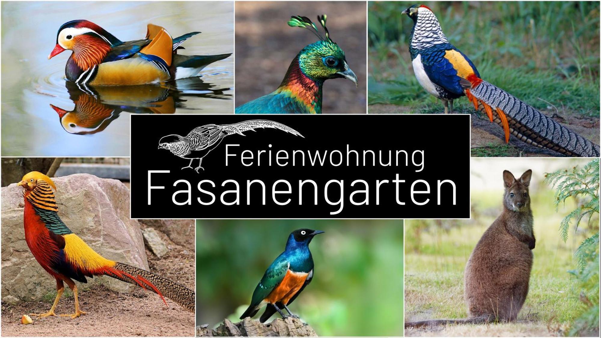 Fasanengarten In Traunreut Eksteriør billede